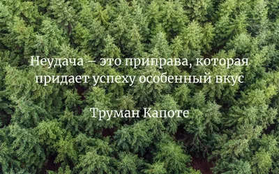 ТОП-20 мотивирующих цитат для вдохновения и достижения целей - 7Дней.ру