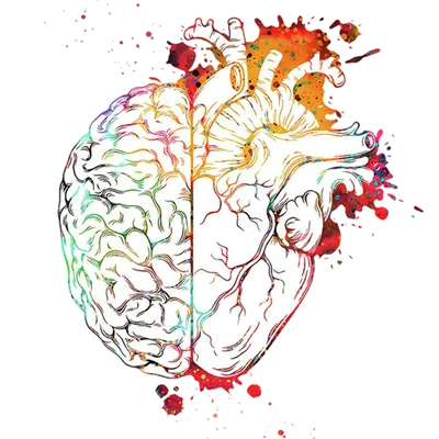 Мозг и сердце арт - 32 фото