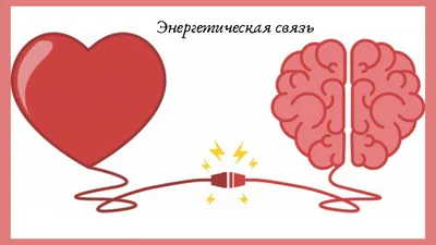 Мозг или сердце. Выбор очевиден. | Фиолетовая реальность | Дзен
