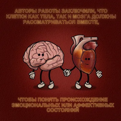 Мозг и сердце влюбленности и приятельства Комплект Иллюстрация штока -  иллюстрации насчитывающей сердце, интеллектуально: 81132748