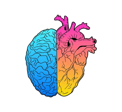 Про сердце и мозг | Пикабу