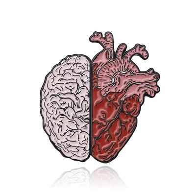 Мозги И Сердце Связаны Между Собой Сердце И Мозг Работают Вместе — стоковая  векторная графика и другие изображения на тему Символ сердца - iStock