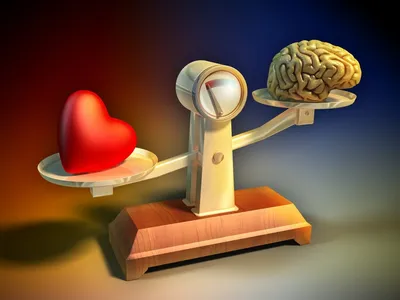 Мозг vs. Сердце | Awkward yeti, Bones funny, Heart and brain comic