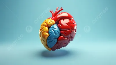 BROSHKA | Брошь-значок Анатомия Мозг Сердце серебристая BRBF113126 Цена