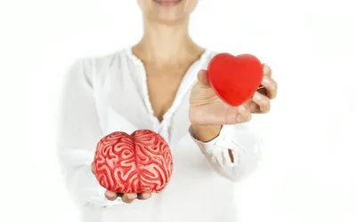 Мозг против сердца иллюстрация вектора. иллюстрации насчитывающей микстура  - 56933138