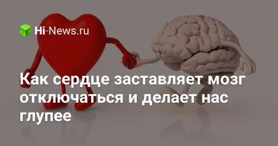 Сердце и Мозг. Тайная жизнь внутренних органов. Селак Ник купить по низким  ценам в интернет-магазине Uzum (209345)