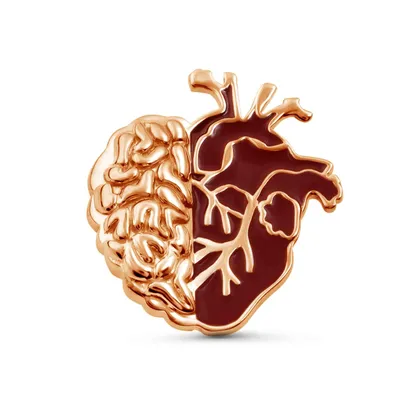 Сердце и мозг в сработанности внутренние органы Иллюстрация вектора -  иллюстрации насчитывающей органы, шарж: 126573402