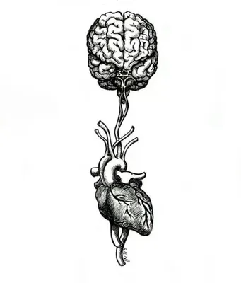 Сердце И Мозг Связанные С Питанием Плагин Изолированы — стоковые фотографии  и другие картинки Мозг - iStock