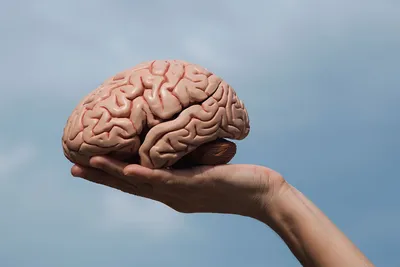 Какие 10 привычек разрушают мозг