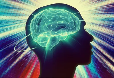 Нейрофизиология: как работает наш мозг - Центр \"Архэ\"