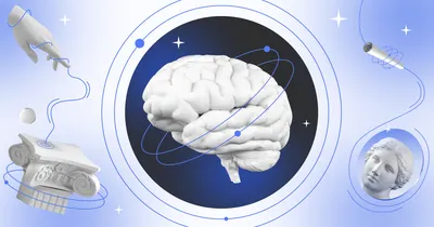 Ученые выяснили, что мозг человека может путешествовать во времени —  04.07.2021 — В мире на РЕН ТВ