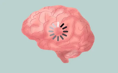 Мозг - Анатомия человека | Kenhub - YouTube