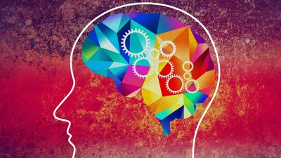 10 необычных фактов о мозге, которые изменят ваш взгляд на жизнь | Блог РСВ