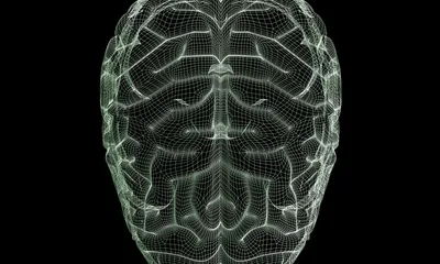 1 200 874 рез. по запросу «Мозг» — изображения, стоковые фотографии,  трехмерные объекты и векторная графика | Shutterstock