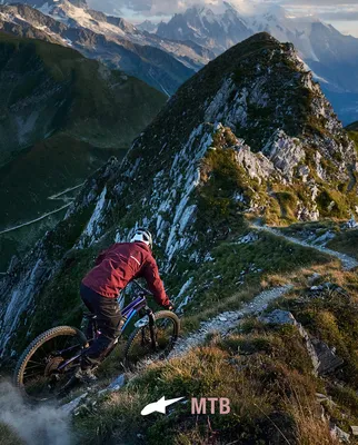 Mountain Bike | Alpinestars