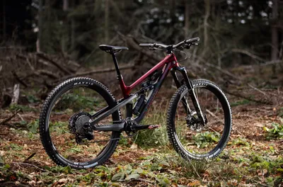 Mountain Bikes | MTBs | Buy online | CANYON US