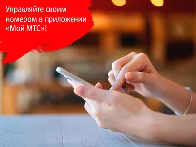 Dushanbe City и МТС Банк запустили бесплатный онлайн-сервис денежных  переводов в Таджикистан по номеру телефона | Новости Таджикистана ASIA-Plus