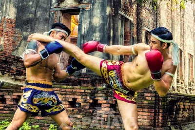 Муай Тай: фестиваль боевых искусств в Аюттайе. Фоторепортаж — Блог Ольги  Салий Другие путешествия