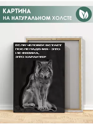Подпишись, набирайся мудрости ☝️🐺 #цитатыволка #волк #мысливолка #волки  #безумноможнобытьпервым #мудростьволка #волки🐺 #volkparapapapam… |  Instagram