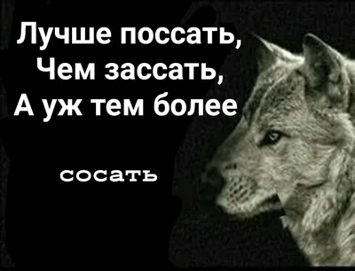 Бенто-торт «Мудрый волк» заказать в Москве с доставкой на дом по дешевой  цене