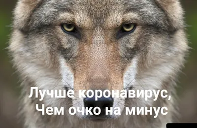 Подвеска-оберег «Мудрость волка» - купить в Славянской Лавке