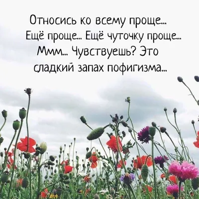 Пин от пользователя Наталья на доске Хорошо сказано | Мудрые цитаты,  Цитаты, Мысли