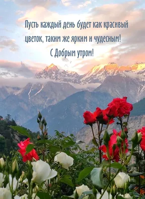 Pin by Irina on мудрые мысли | Good morning, Quotes, Cards