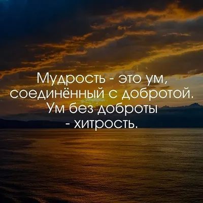 95+ лучших мотивационных цитат для студентов, чтобы усердно учиться в 2024  году - AhaSlides