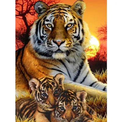 Мультяшный тигр: векторные изображения и иллюстрации, которые можно скачать  бесплатно | Freepik