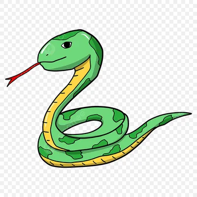 зеленый мультяшный змей змея мамба, гладкая зеленая змея, чешуйчатая  рептилия, Elapidae, улыбка png | Klipartz
