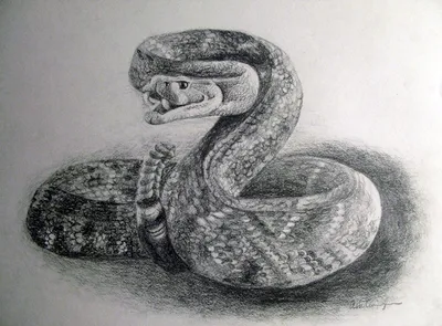Мультяшная змея плачет» — создано в Шедевруме