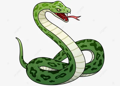 мультяшная змея торчит языком Иллюстрация вектора - иллюстрации  насчитывающей ангстрома, черный: 216304046