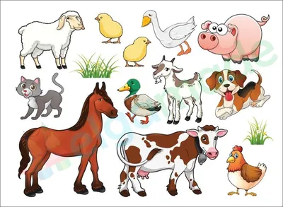 Набор мультяшных забавных милых животных иллюстрации детей | Премиум векторы