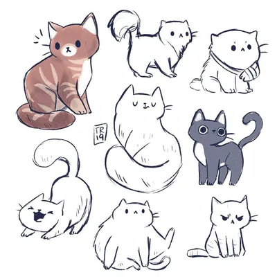 Милых котиков пост | Пикабу