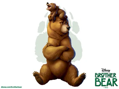 В гостях у сказочных медведей» :: Krd.ru