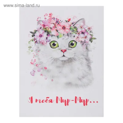 Открытка-мини \"Я тебя Мур-Мур…\" кошка, 11 х 8 см (4558233) - Купить по цене  от 2.48 руб. | Интернет магазин SIMA-LAND.RU