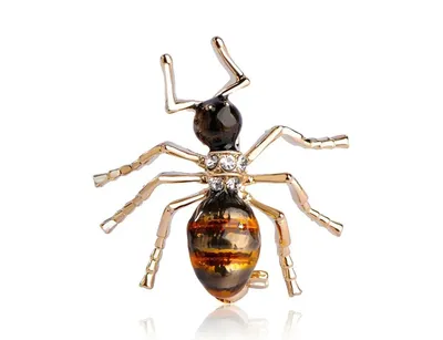 Степной прыткий муравей — Википедия