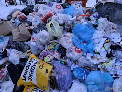 Что такое раздельный сбор мусора и как этого добиться в своём доме -  Лайфхакер