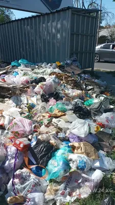 Куча мусора и бытовых отходов. Stock Photo | Adobe Stock