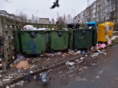 Такого бардака не видела никогда!» — жительницу Петрозаводска возмутила  ужасная и зловонная мусорка | СТОЛИЦА на Онего