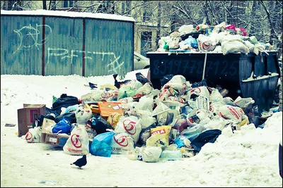 Двор одного из домов в Ростове превратился в мусорку | ОБЩЕСТВО | АиФ  Ростов-на-Дону