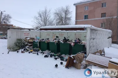 В Ташкенте мусорка за Сенатом поразила местных жителей своим новогодним  видом — видео – Новости Узбекистана – NOVA24.UZ
