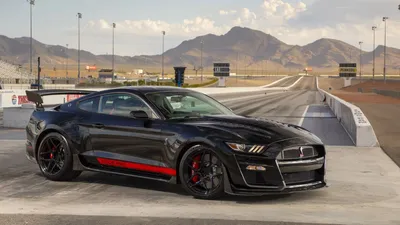 The New 2024 Ford Mustang S650! — Petersen Automotive Museum
