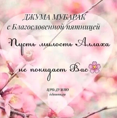 МЕГАФЛОРА💐Цветы🪴Актобе on Instagram: \"С Благословенной Пятницей Дорогие  Мусульмане🕋🕊 Будем добрее друг к другу, милосерднее. Ислам- религия Мира!  . С БОЛЬШОЙ ЛЮБОВЬЮ К ВАМ ВЕСЬ МИР ЦВЕТОВ И МЕГАФЛОРА 🥰🥰🥰\"