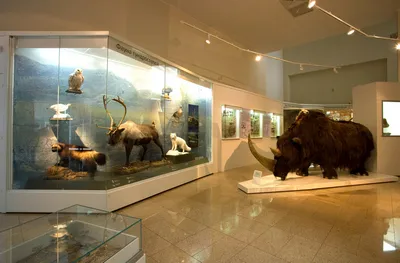 Экспонаты Этнографического музея КФУ представлены на выставке в Москве |  Медиа портал - Казанский (Приволжский) Федеральный Университет