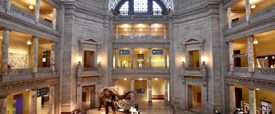 Посещение Национального музея естественной истории | Вашингтон