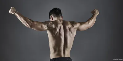 мужская спина. мускулистый мужчина. бодибилдинг Стоковое Фото - изображение  насчитывающей портрет, темно: 227380284
