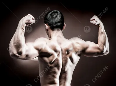 мужская спина стоковое изображение. изображение насчитывающей здорово -  220391615