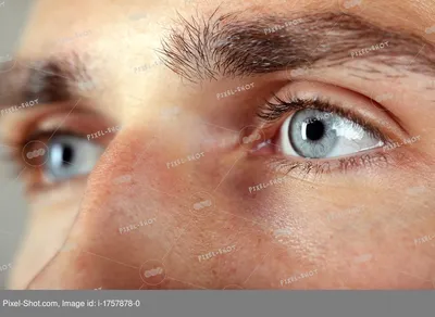 Голубой мужской глаз. Крупный план Стоковое Изображение - изображение  насчитывающей взорвать, ресница: 36071907