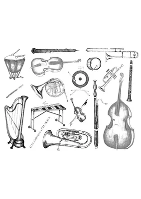 Инструмент Симфонического Оркестра Рисунок (62 Фото)